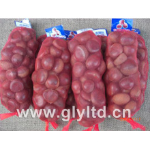 Neue Ernte Fresh Chestnut 40-60PCS / Kg